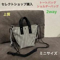 セレクトショップ購入　上質2wayストライプミニバッグ