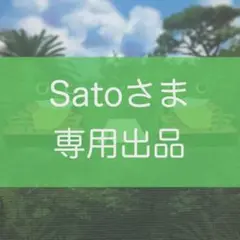 Satoさま　専用出品