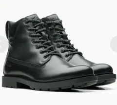 Item thumbnail for item 022b6663-3baf-419c-9199-3b6ca2880842