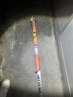 Item thumbnail for item 8c0bd344-5a6a-459d-8095-9f9738407246