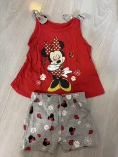ミニーちゃんのセットアップ