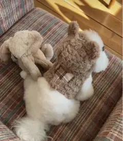 Item thumbnail for item 5be9780a-8a4c-4210-a587-6a4369147e76