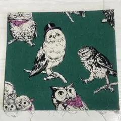 Item thumbnail for item 55de3233-2b7d-4700-a60c-d49db76caaf5