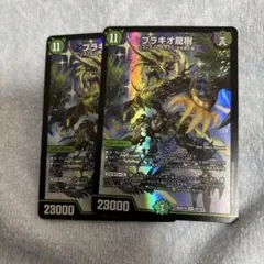 ブラキオ龍樹 2枚 - メルカリ