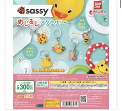sassyミニチュアチャーム