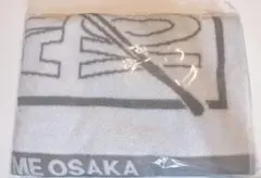 スキズ　アプグレ特典　タオル　グッズ
