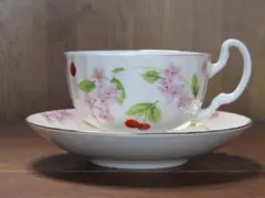 2025年最新】AyNSLEY エインズレイ チェリーブロッサムの人気アイテム