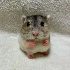 羊毛フェルト ハムスターぬいぐるみ 食いしんぼ ジャンガリアン パール