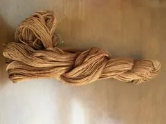 Item thumbnail for item 01830220-14d3-408e-b796-973c52c476c9