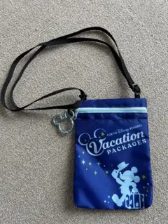 東京ディズニーリゾート ポーチ　バケーションパッケージ