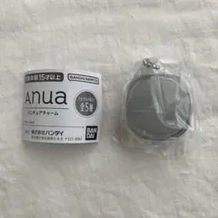 匿名　Anua ミニチュアチャーム