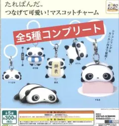 たれぱんだ　つなげて可愛い！マスコットチャーム　めじるしアクセサリー　コンプ５点