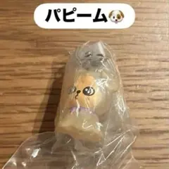 スキズ　スンミン　SKZOO パピーム　めじるしアクセサリー