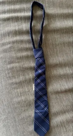 Item thumbnail for item 9d327100-2513-44df-b270-9f7690407c5a