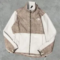 145 ザ ノースフェイス デナリジャケット フリース　M ポーラテック