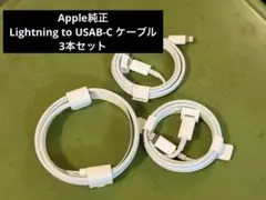 純正 Lightning to USAB-C ケーブル 3本セット
