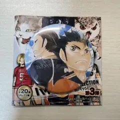 ハイキューコレクション缶バッジ　第三弾