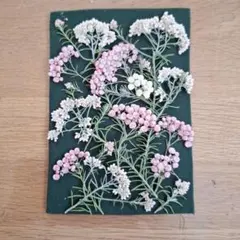 Item thumbnail for item 166e0416-65ac-4cd0-9b25-d7659795250b