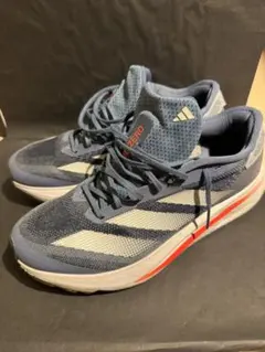 Item thumbnail for item 8cef26ff-7d43-42f1-b30c-e38a8e3f9580