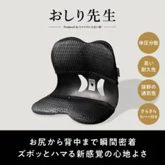 ヒツジのいらない枕 おしり先生 姿勢サポートチェア - メルカリ