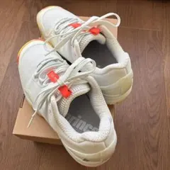 プリンステニスシューズ　オムニ用　DPSZC17