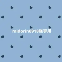 midorin0918様 リクエスト 4点 まとめ商品