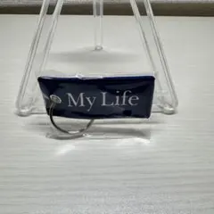 Item thumbnail for item 3bec557e-86ab-43d0-9505-a6cb59beba47