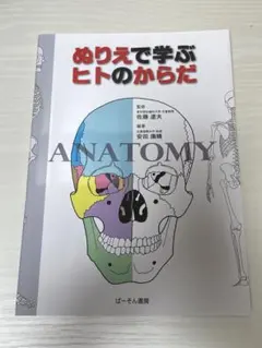 ぬりえで学ぶヒトのからだ　柔道整復師