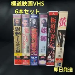 秘伝の合気 DVD 2枚組 - メルカリ