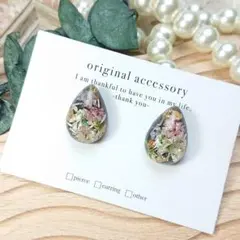 Item thumbnail for item bf66c5df-44b0-42e4-b673-2f6641987513