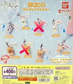 Stray Kids SKZOO めじるしアクセサリー