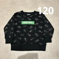 Minecraft トレーナー 120サイズ