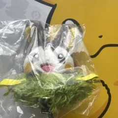 韓国限定 ポケモン ポップアップ ヘアピン エモンガ