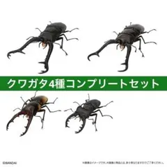 いきもの大図鑑 オンライン版 くわがた11『4種セミコンプリートセット』