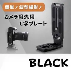 Item thumbnail for item 19d91e91-a1be-4edc-abc2-dc8ee7efea5f