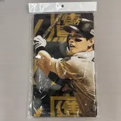 ソフトバンクホークス　栗原陵矢　応援タオル
