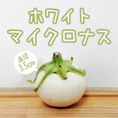 cero様 リクエスト 3点 まとめ商品