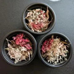 Item thumbnail for item fa7f5df0-a391-4150-bfc3-a8e7507ed486