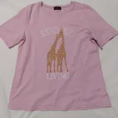 EVEX by KRIZIA　Tシャツ　カットソーのサムネイル