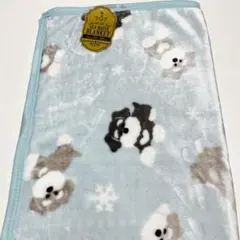 Item thumbnail for item e3f39675-faf4-4998-b06f-e9314b27e886