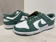 ナイキ⭐️ダンク⭐️新品⭐️27、0 ネクストネイチャー⭐️定価15400円