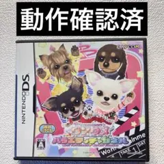 hy【動作確認済】NintendoDS ワンタメ　バラエティチャンネル　カプコン