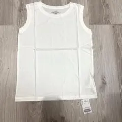 Item thumbnail for item 66f8e66e-0f2e-4256-aa16-6772238aa7ce