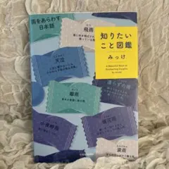 Item thumbnail for item d08ea27d-1d04-4e0f-a008-a31d331b6a11