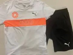 PUMA 150cm セットアップ