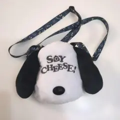 ユニバ　USJ　スヌーピー　SNOOPY　パスケース