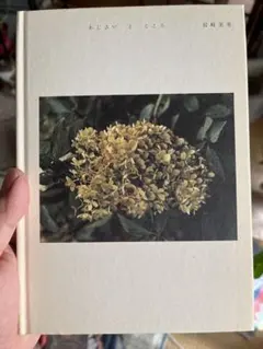 Item thumbnail for item 129e46ca-4a58-4c85-8cb7-3b436606fb00