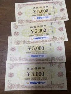 早稲田アカデミー 株主優待券 20000円分