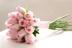 KA&ka様  連絡ページになります