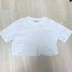 ZARA クロップド丈 Tシャツ ホワイト